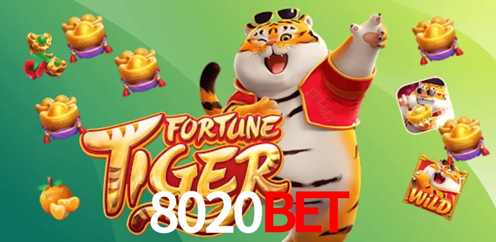 Statistics 8020bet